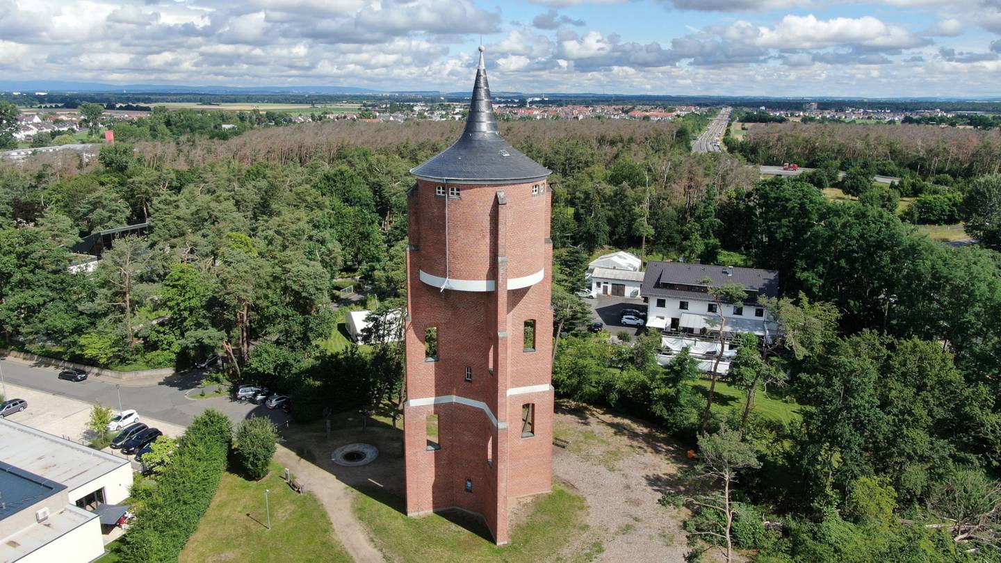 rodgaucard Lesekarte für Stadtbücherei Rodgau
